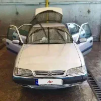 زانتیا نقره ای فنی سالم