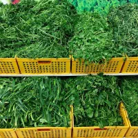 سبزی خورشتی رامهرمز