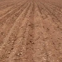 زمین-پشت-بیمارستان-آل-جلیل
