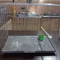 قفس پرنده همراه با همه لوازمات جانبی برای پرنده