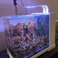 نانو پلنت شیک