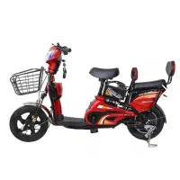 دوچرخه برقی وینر اسکای Winnersky