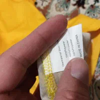 تیشرت و شورت سپاهان نسخه بازیکن(خام)|لباس|تهران, فاطمی|دیوار