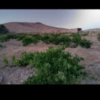 باغ ۱۰۰۰ متری خوش قیمت