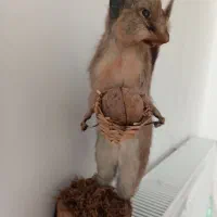 نمایی زیبا از طبیعت