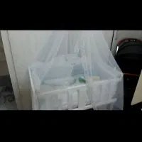 گهواره نوزاد کنار مادر