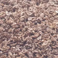 مغز گردو تویسرکان