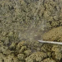 سبزی خورشتی وماهی وپلویی وکوکوو. آشی