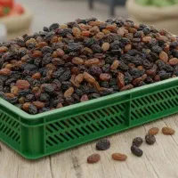 سبد ذغال،میوه خشک کنی،ماکارانی،کشمش|عمدهفروشی|چهاردانگه (تهران), |دیوار