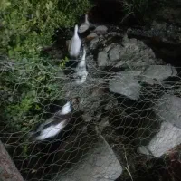 دوتانردوتاماده هرروزهم تخم میزارن