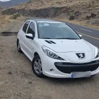 ۲۰۷ پانوراما دنده ای
