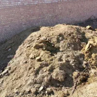 کود گوسفندی