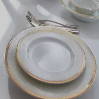 سرویس چینی زرین طرح ریوا طلایی|ظروف سرو و پذیرایی|سبزوار, جوادیه غربی|دیوار