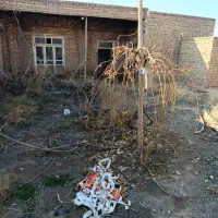 خانه زمین و ویلا 450 متری