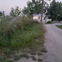 زمین هادی
