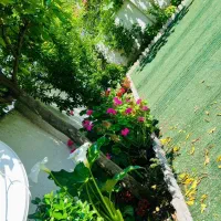 فروش-و-تهاتر-ویلای-سنددار