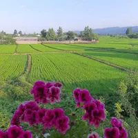 اجاره کلبه چوبی نوساز و تمیز حیاط دار|اجارهٔ کوتاه‌مدت آپارتمان و سوئیت|رضوانشهر, |دیوار