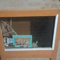 قفس پرندگان چوبی|لوازم جانبی حیوانات|طبس, |دیوار