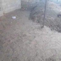 کود گاوی کهنه|خدمات باغبانی و درختکاری|زاهدان, |دیوار