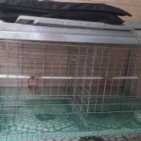 قفس گالوانیزه مرغ و پرنده تزئینی