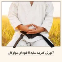 فروش مجموعه کامل پک آموزش کاراته|فیلم و موسیقی|رشت, پارک شهر|دیوار