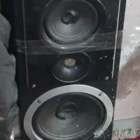 باند خانگی مارک سونیا