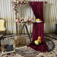 دیزاین شب /یلدایی/شب‌ چله ای|گل و گیاه طبیعی|مشهد, دانشجو|دیوار