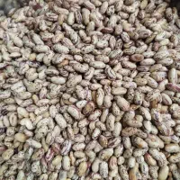 حبوبات و گردو تویسرکان و سرکه جات وغیره|خوردنی و آشامیدنی|مشهد, کوه سنگی|دیوار