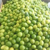 لیموترش‌آبغوره‌