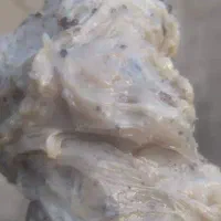آنغوزه|آرایشی، بهداشتی، درمانی|شیراز, حومه شیراز|دیوار