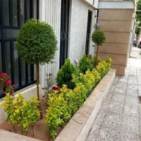 خدمات باغبانی باغچه کاری تعویض گلدون کاشت گل وگیاه|خدمات باغبانی و درختکاری|تهران, ستارخان|دیوار