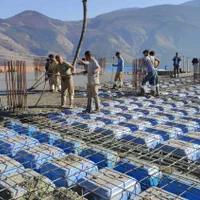 اجاره جک و قالب تجهیزات آرماتور بندی|مصالح و تجهیزات ساختمان|سلمانشهر, |دیوار