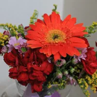 گل کلاسیک - سلام بر تابستان -  فوری