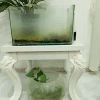 تنگ و آکواریوم