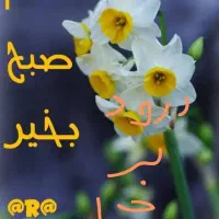 مدارک گم شده