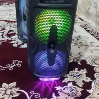 اسپیکر|سیستم صوتی خانگی|سرپل ذهاب, |دیوار