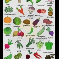 رستوران /آبمیوه فروشی ها /میوه فروشها|کافیشاپ و رستوران|تهران, میدان میوه و ترهبار مرکزی|دیوار