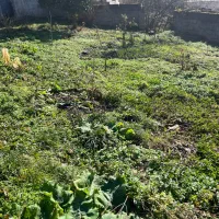 زمین-مسکونی-در-روستای-دیورش-گیلان-بهترین-لوکیشن