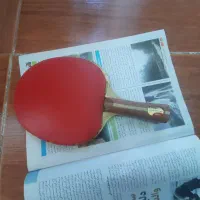 چوب راکت تنیس روی میز برند GEWO