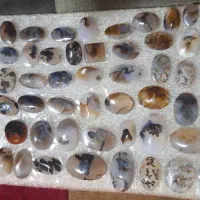 شجر قائن اصل معدن دونه ای ۳۵۰هزار  تومن|جواهرات|زنجان, |دیوار