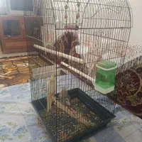 معاوضه. نداریم