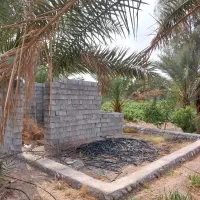 فروش باغ و زمین کشاورزی در رودان دو راهی برنطین|فروش دفتر صنعتی، کشاورزی، تجاری|رودان, |دیوار
