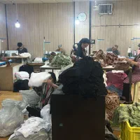 وسط کارتریکو