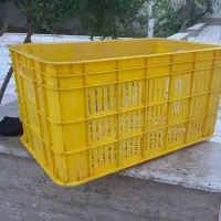 سبد
