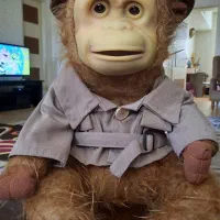 عروسک|اسباب‌‌بازی|ساوه, |دیوار