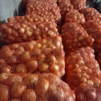 حدود۲تن پیاز فلات