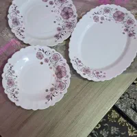 سرویس ارکوپال|ظروف سرو و پذیرایی|قرچک, زیبا شهر|دیوار