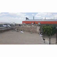 سلام ۲۵ عدد رنگه جوان همه جوجه جوانه   پارسالی