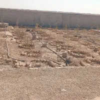 باغ ۱۰۰۰ متری نیمه ساز با سند تک برگ|فروش خانه و ویلا|شاهین‌شهر, فردوسی|دیوار