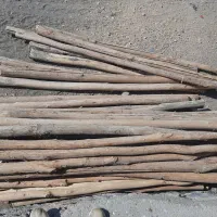 فروش چوب خشک چهار متری|مصالح و تجهیزات ساختمان|موچش, |دیوار